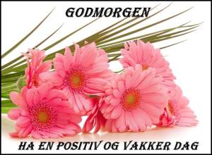 1900018_575552459201086_1541496738_n