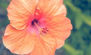 A-meditation-on-happiness-everyday-mindfulness