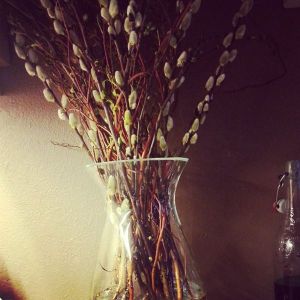 10153599_10152291073231970_1267620647_n