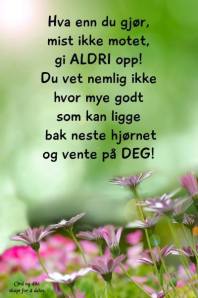 1974978_582730111816654_1641058368_n