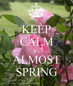 85cab180060cf9d35b815ce47ff5a7c3