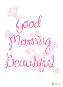 1008d701b6c4779c4cd66eae01f30b70