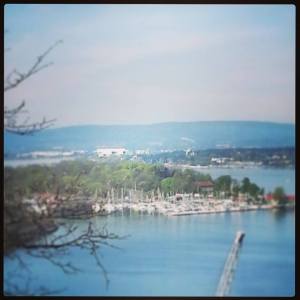 10307046_10152362924546970_961939744_n