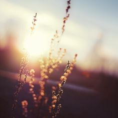 17905350fa73439cd3ca2326ccbb2efc