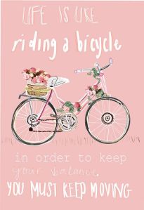 21f68562de2281b1fefc1c57cd1bb95c