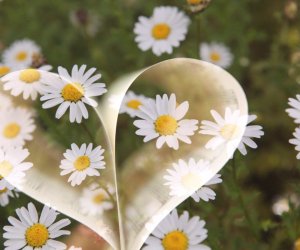 388985_10150467857226970_646561969_10851182_1351606545_n