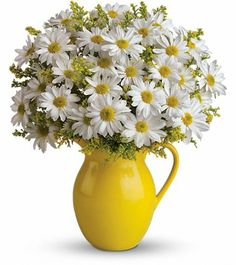 6f65859b98224f02f8a37204a28703bf