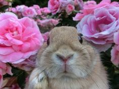 ac74d61796e20f05d179ccd66b61f1fb