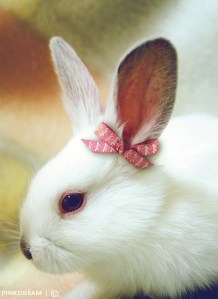 c4d67f7efd686c72d6051f896ff53da5