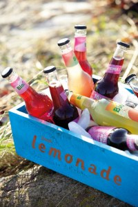 Ingeniørfruens-hjemmelagde-sukkerfrie-brus