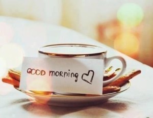 tumblr_mn360mTDXJ1rhryvqo1_500