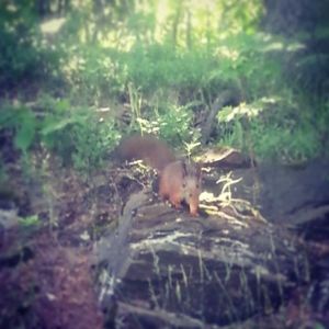 10419735_10152425111476970_961543528_n