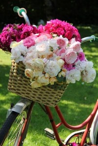 4e259d0f8b333587f53a8f7f5f7e626c