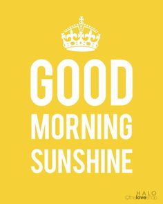 feed3b5fa26811e83fd90943aa5ed8b5