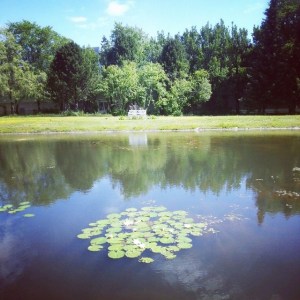 10401862_843219499039213_1693352120_n