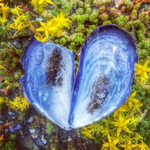 10432013_1500653180146700_1100652890_n