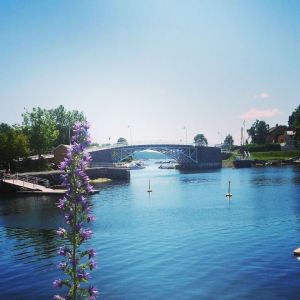 10466657_10152479915926970_539105423_n