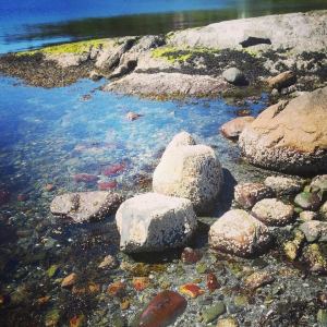 10466693_10152479915151970_724352259_n