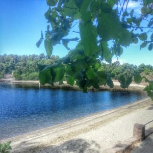 10466873_10152471822676970_1127046177_n