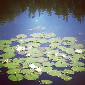 10474988_754639961254066_347834904_n