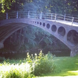 1517282_650481028372652_768393943_n