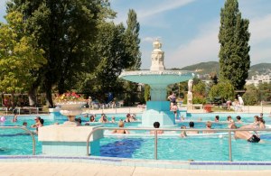 386985_10151160575781970_1364877909_n