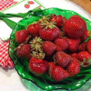 blogger-image--684619495