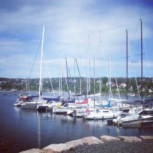 10461836_10152469654391970_183978973_n