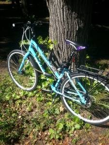 10523748_10152518370861970_1844205620_n