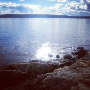 10555215_10152555976031970_881630043_n