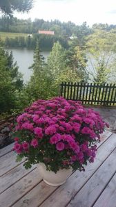 10527483_10152616041141970_3841893716560941219_n