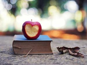 apple-autumn-book-colours-Favim.com-614484