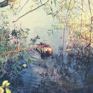 10590426_10152742019011970_2286664351605297196_n