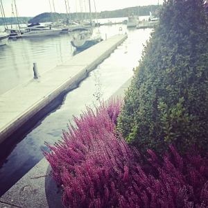 10690044_10152713077911970_1116809399491810574_n