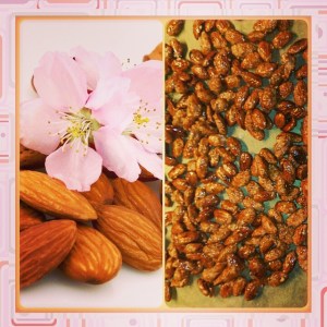 10403055_10152819835666970_3505673372882719497_n