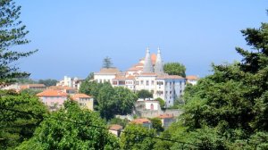 38806_453285636969_5749252_n