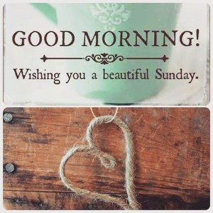 10917080_10152957872611970_4622679284593518016_n