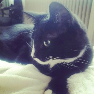 1794753_10152986768341970_8305639839647224099_n