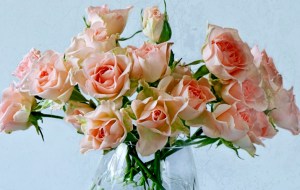 Wonderful-Weekend-to-you-Lily-lilyz-33711963-800-800