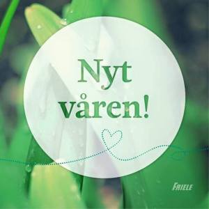 10362859_10153089128806970_2401541233809133698_n