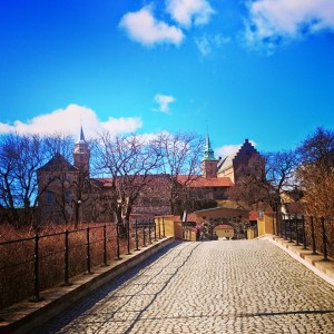 11115596_10153137936606970_7132938733164686640_n