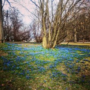 11115671_10153149842806970_5625684091427580772_n