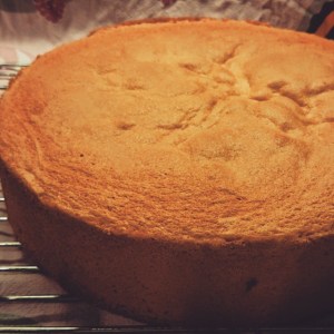 11188330_10153192160256970_2039479840054795014_n