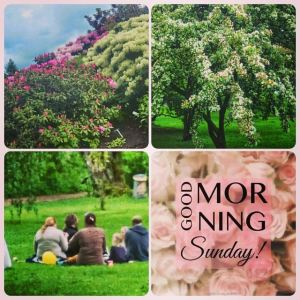 11390090_10153288570676970_7672793670987975740_n