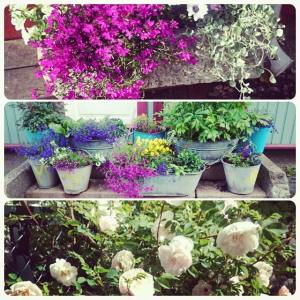 11168890_10153349650016970_4745734677830928118_n