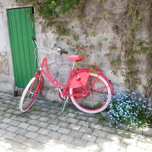 11357528_879588892107290_1350253405_n