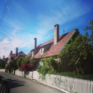 11376198_954846054568176_1779382747_n