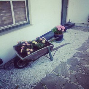 11377506_794162397365535_1583452140_n