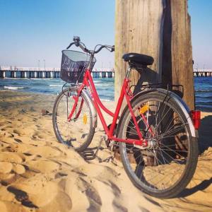 11401343_830817550335848_8236540760541412473_n