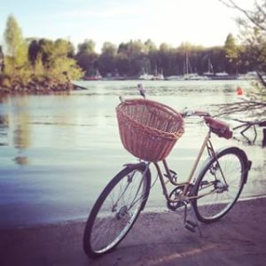 11244527_823565647724626_215136331_n